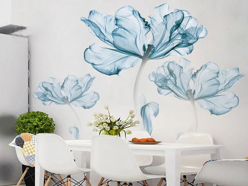 decal trong dán tường trong suốt