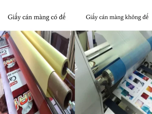 decal giấy cán màng