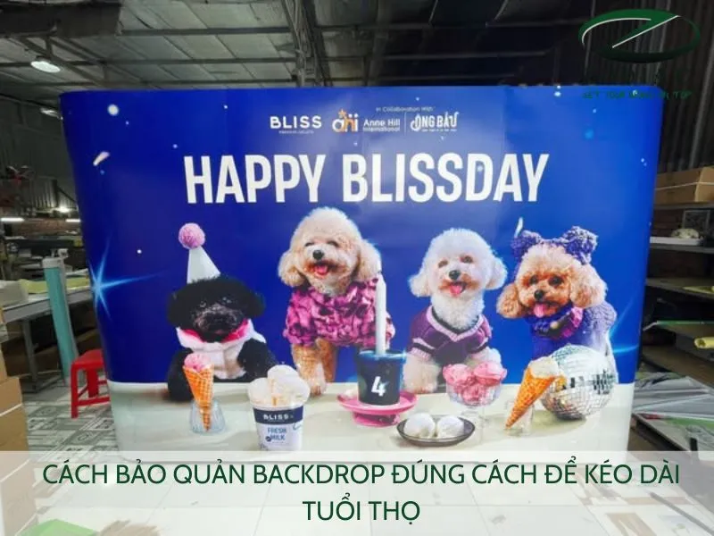Cách bảo quản backdrop đúng cách để kéo dài tuổi thọ