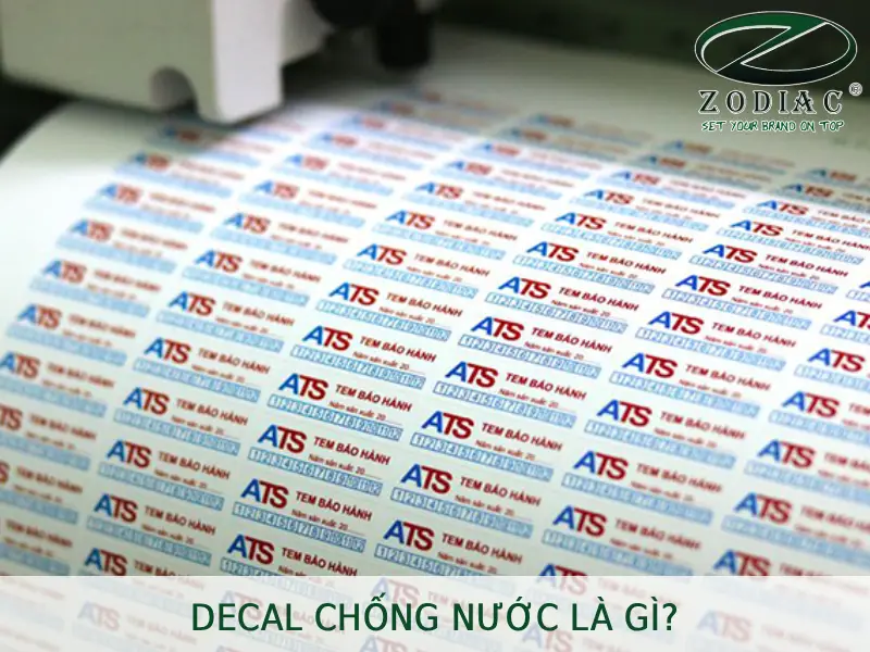 Decal chống nước là gì tại ZODIAC