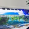 In uv trên decal tại ZODIAC